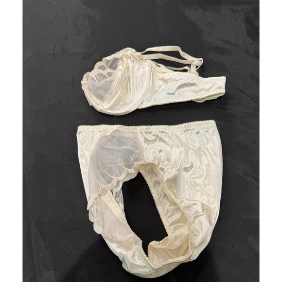 Vtg 90s Victoria's Secret Second Skin Panties Briefs M Bra Set 36C Chiffon NWT - Picture 5 of 7